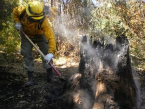CONAF Magallanes llama a estar alerta en actividades al aire libre
