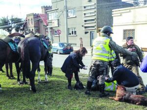 Carabinero lesionado tras caer de su caballo