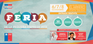 Sercotec invita a las Mipes a postular a Feria de la Pequeña Empresa que se realizará en Punta Arenas