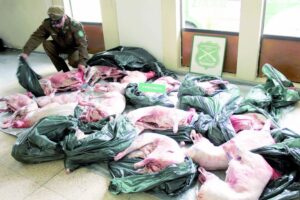 Un total de 500 controles de abigeato ha realizado Carabineros en lo que va de septiembre