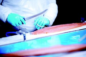 Caída de las exportaciones: optimismo del Gobierno y reparos del sector productivo