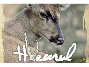 Documental “El Huemul, la sombra de una especie”