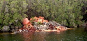 SMA aplicó la mayor multa contra una salmonera por 35 infracciones ambientales en Aysén