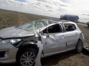 Conductor argentino volcó al esquivar un guanaco cuando se dirigía a El Calafate