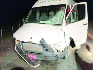 Una milagrosa salvada tuvo conductor que impactó a vacuno en Última Esperanza