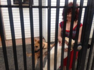 Corte de Apelaciones dictaminó que mujer podrá seguir viviendo con 16 perros en su casa