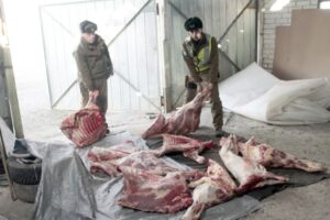 Carabineros detuvo a  sujeto por robo de carne