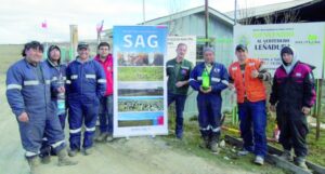 Destacan control de la  avispa chaqueta amarilla