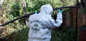 Ciudadana boliviana degolla a sus dos hijos e intenta quitarse la vida en Calama