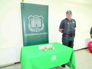 Al interior de papas detectan ingreso de droga a la cárcel de Punta Arenas