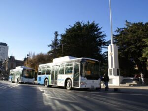 Licitación del transporte mayor de Punta Arenas