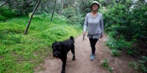 Reglamento de Conaf impedirá el ingreso de perros y gatos a parques nacionales