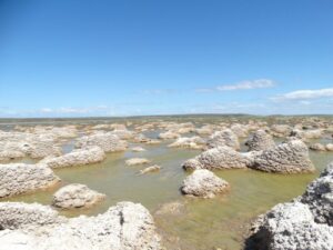 “La importancia Geo-biológica de Laguna Los Cisnes en Porvenir”