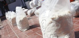 Buses de hinchas colombianos traían 500 kilos de cocaína a Chile
