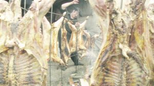 Se viene el Asado más Grande de  Tierra del Fuego