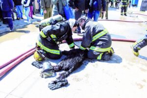 Siete damnificados por incendio  en la Población Fermín Roca