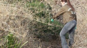 Formalizan por infanticidio e inhumación ilegal a joven que mató y enterró a recién nacido