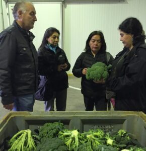Agricultores magallánicos conocieron experiencias asociativas en España