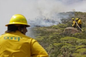 Alerta Amarrilla para la comuna de Porvenir por incendio forestal