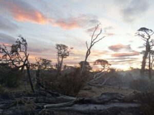 Conaf pidió extremar las precauciones en las quemas controladas
