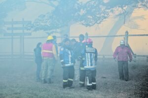 El viento ha sido el peor aliado en el combate del fuego que arrasa más de 30 hectáreas