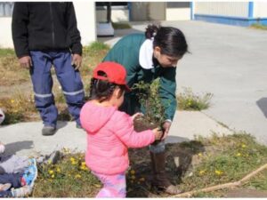 Más de 800 currículos  han ingresado a la Junji Magallanes