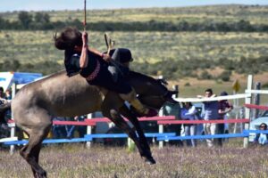 Agricultores de INDAP destacaron en tradicional Festival de la Esquila de Villa Tehuelche