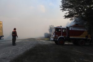 Onemi declaró Alerta Roja por incendio forestal en San Juan y Agua Fresca