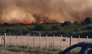 Incendios forestales aumentan un 33% en Magallanes
