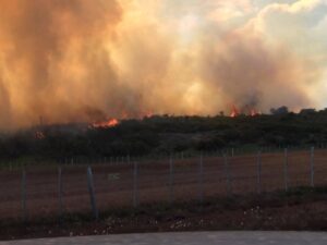 Declaran Alerta Amarilla por incendio forestal en Ruta 9 Km. 43 Agua Fresca