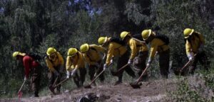 Funcionarios de Conaf anuncian paro nacional de 24 horas para mañana viernes