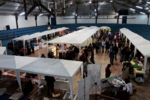 Casi 10 mil visitas en primeros tres días de la Expo Magallanes