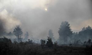 Incendios forestales: ahora se queman  27 hectáreas en Tierra del Fuego