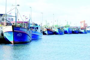 Cierran sectores de Fiordo Falcon y Seno Penguin por presencia de Marea Roja
