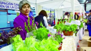 Agricultores magallánicos están presentes en Expo Magallanes