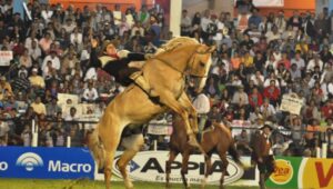 Esta noche comienza el popular Festival de Doma y Folklore Jesús María que transmite TV Red