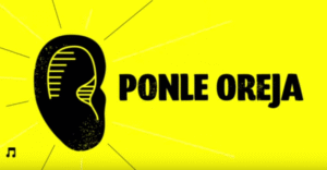 Consejo de la Cultura distribuye en todo Chile catálogo con las bandas más votadas