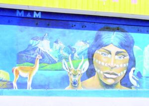Artista Eladio Godoy Vera se adjudicó proyecto para realizar murales