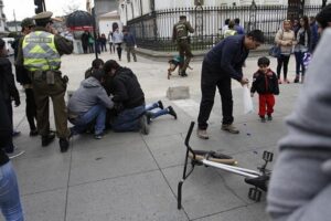 Menor detenido tras agredir con palo a can de Carabineros