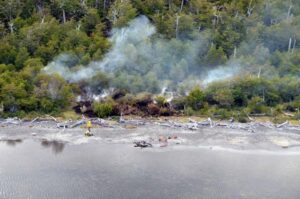 Conaf controló incendio forestal que afectó a estancia en Tierra del Fuego