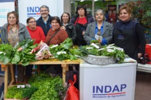 Magallanes dispone de 365 millones de pesos para créditos de Indap a corto y largo plazo