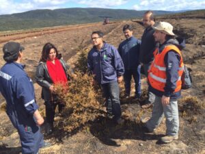 Autoridades lamentan la pérdida de  once ensayos de restauración en turberas