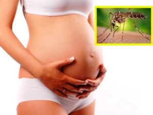 Paraguay no apoya interrupción de embarazo  por virus del Zika, dijo  ministro de salud