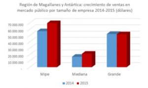 Mipes de Magallanes tranzó más de 143  millones de dólares a través de Mercado Público