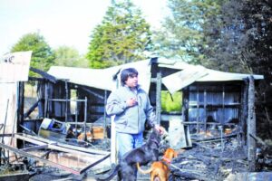 Mascotas ayudaron al rescate de madre y su bebé de incendio