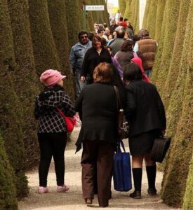 Ruta del amor  en Cementerio Municipal de  Punta Arenas