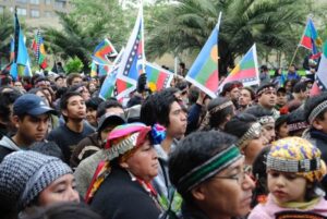 Gobierno plantea creación de un cupo especial de pueblos originarios
