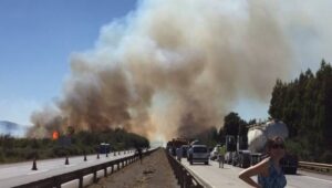 Incendio forestal provoca cortes en la Ruta 5 Sur a la altura de Collipulli