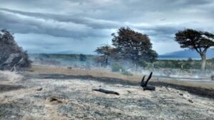 Conaf informa sobre los incendios en Última Esperanza