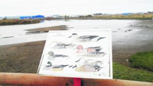 Escasas lluvias provocan  que Humedal Tres Puentes  se quede sin aves y sin agua